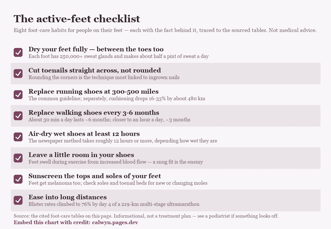 An eight-item foot-care checklist for active people, each with the fact behind it. Dry your feet fully including between the toes (each foot has 250,000+ sweat glands and makes about half a pint of sweat a day). Cut toenails straight across, not rounded (rounding is most linked to ingrown nails). Replace running shoes at 300 to 500 miles (the common guideline; separately, heel cushioning has been found to drop 16 to 33% within about 480 km). Replace walking shoes every 3 to 6 months (about 30 minutes a day lasts around 6 months, an hour a day around 3). Air-dry wet shoes at least 12 hours (the newspaper method takes roughly 12 hours or more). Leave a little room in your shoes (feet swell during exercise from increased blood flow). Sunscreen the tops and soles of your feet (feet get melanoma too; check soles and toenail beds for new moles). Ease into long distances (blister rates reached 76% by day 4 of a 219-km multi-stage ultramarathon). Not medical advice.